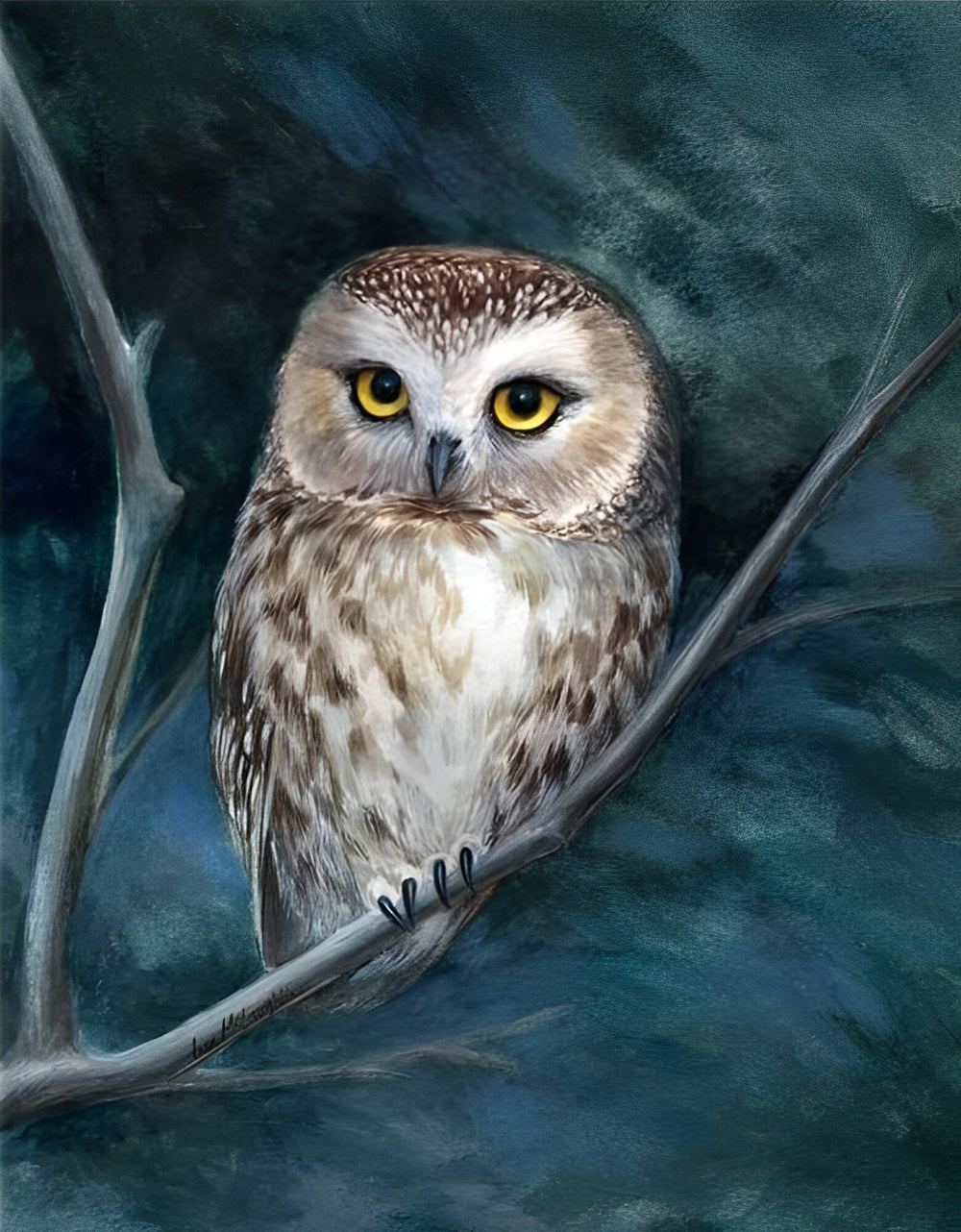 Uil op een Tak Diamond Painting