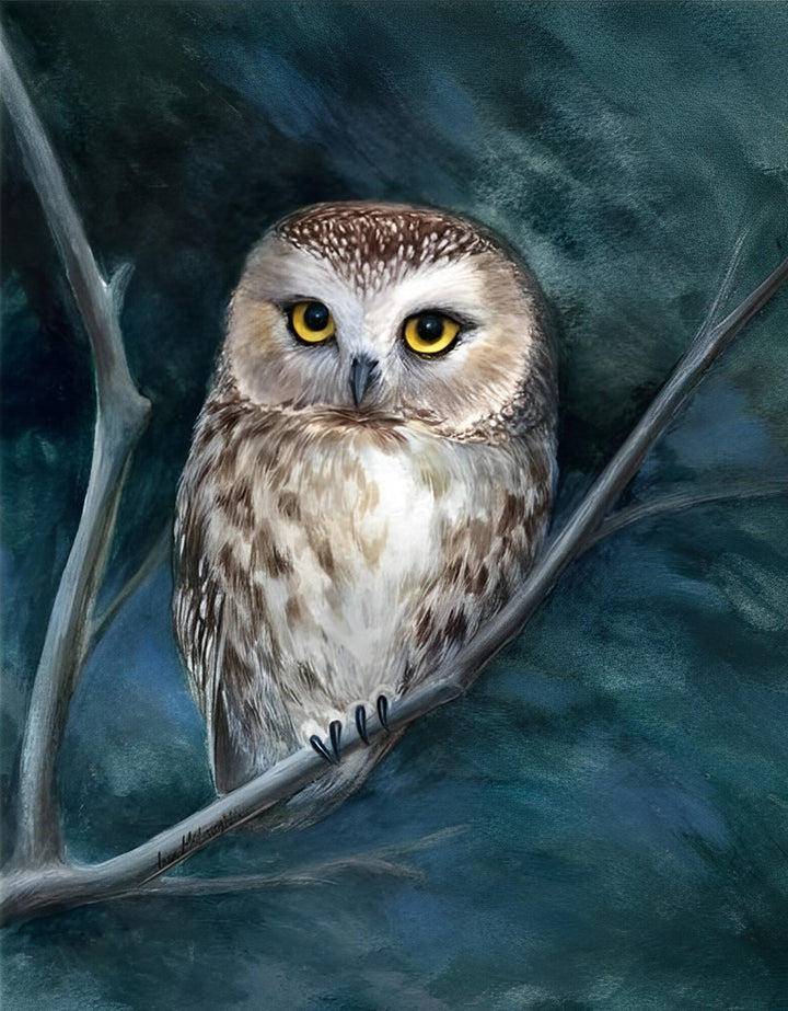 Uil op een Tak Diamond Painting