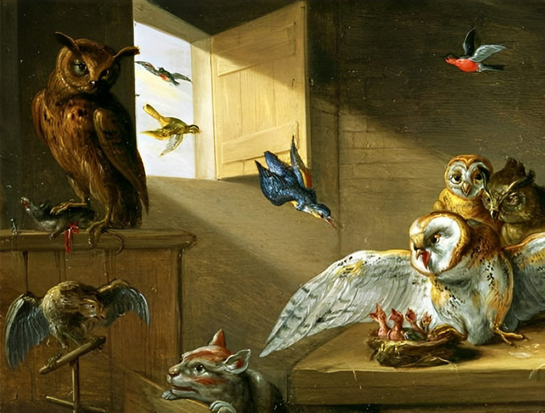 Uilen en Vogels in Huis Diamond Painting