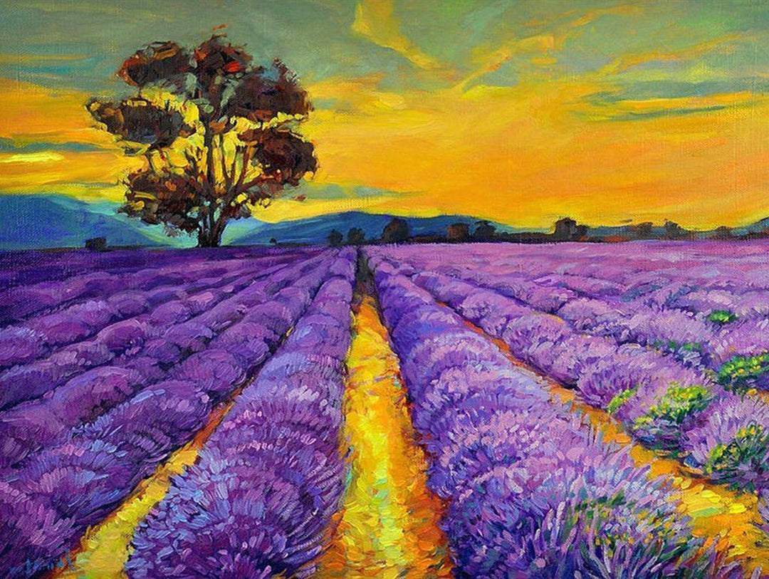 Uitgestrekte Laventelvelden onder Zon Diamond Painting