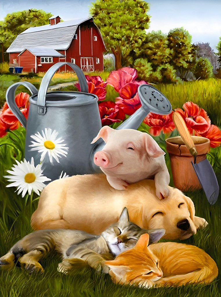 Varken, Hond en Katten in de Wei Diamond Painting