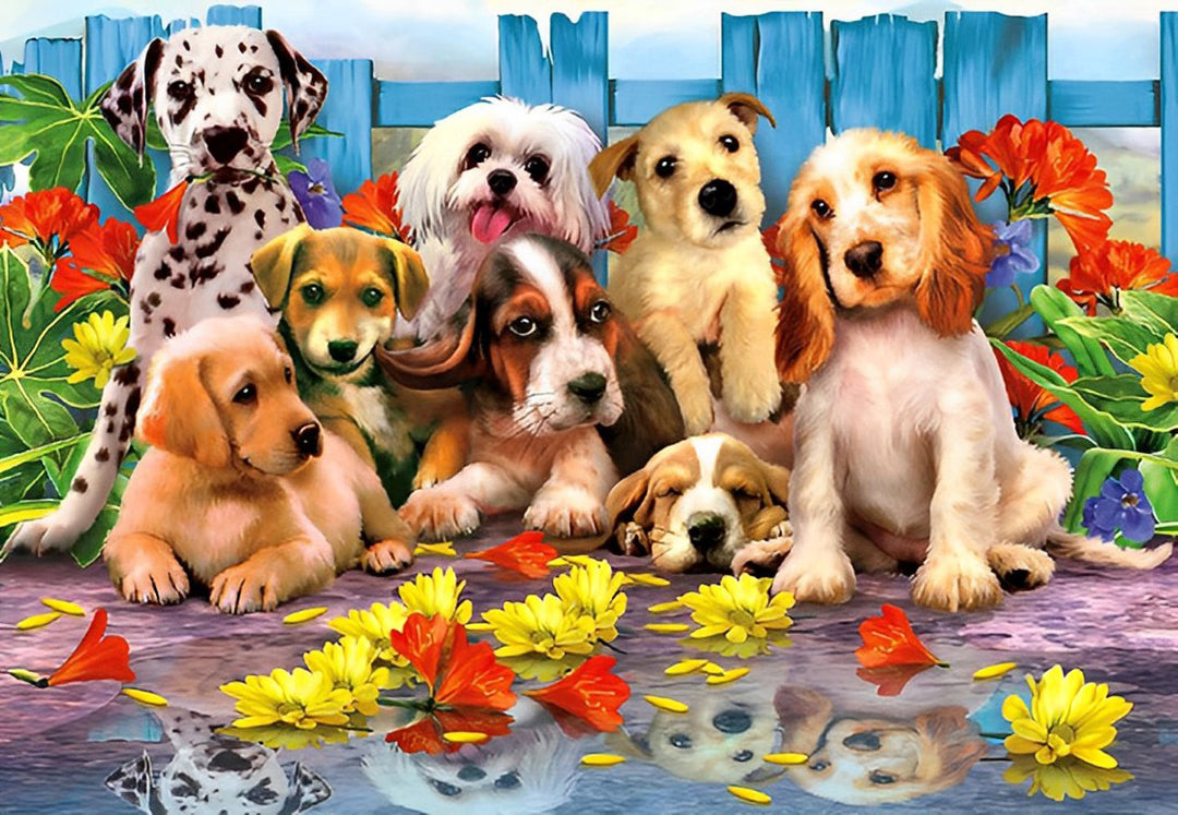 Veel Honden voor het Hek Diamond Painting