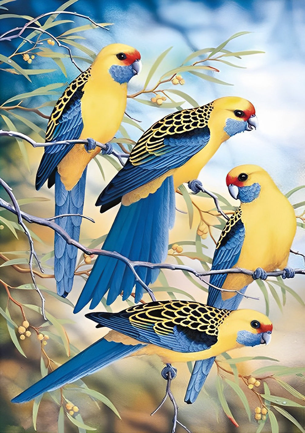 Vier Blauwwitte Vogels Diamond Painting