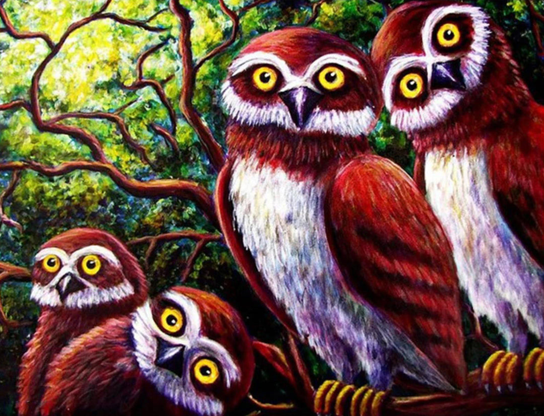 Vier Onschuldige Uilen Diamond Painting