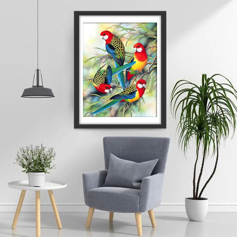 Vier Papegaaien op Een Tak Diamond Painting