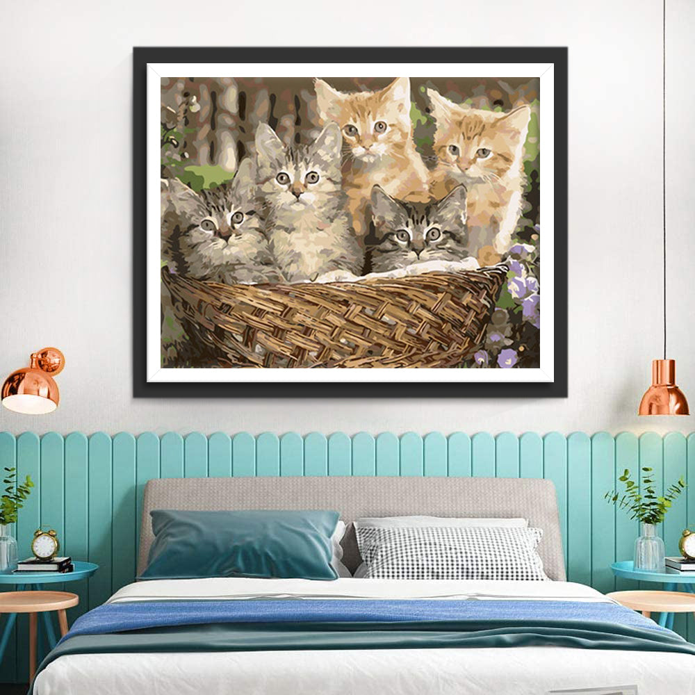 Vijf Katten in een Bamboemand Diamond Painting