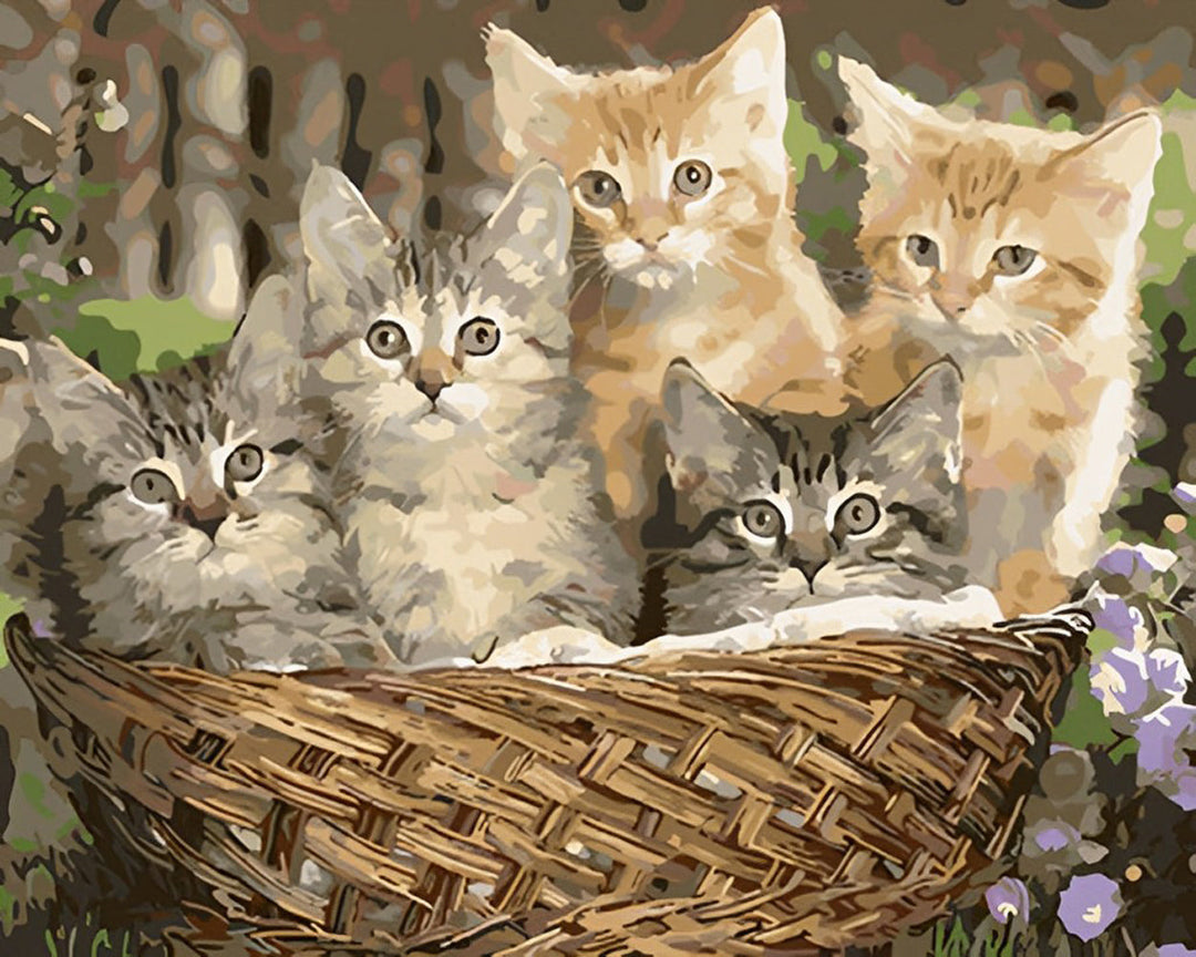 Vijf Katten in een Bamboemand Diamond Painting