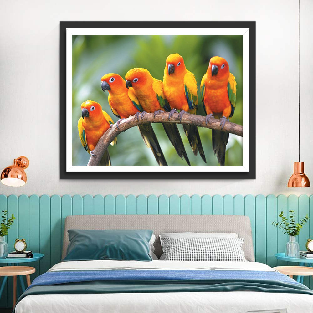 Vijf Papegaaien Diamond Painting