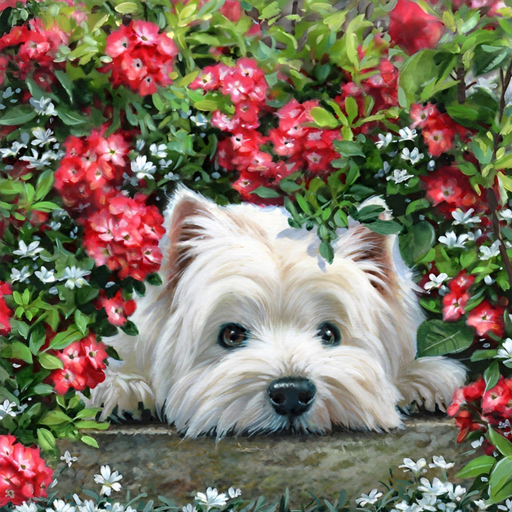 West Highland White Terrier in de Bloemen Diamond Painting