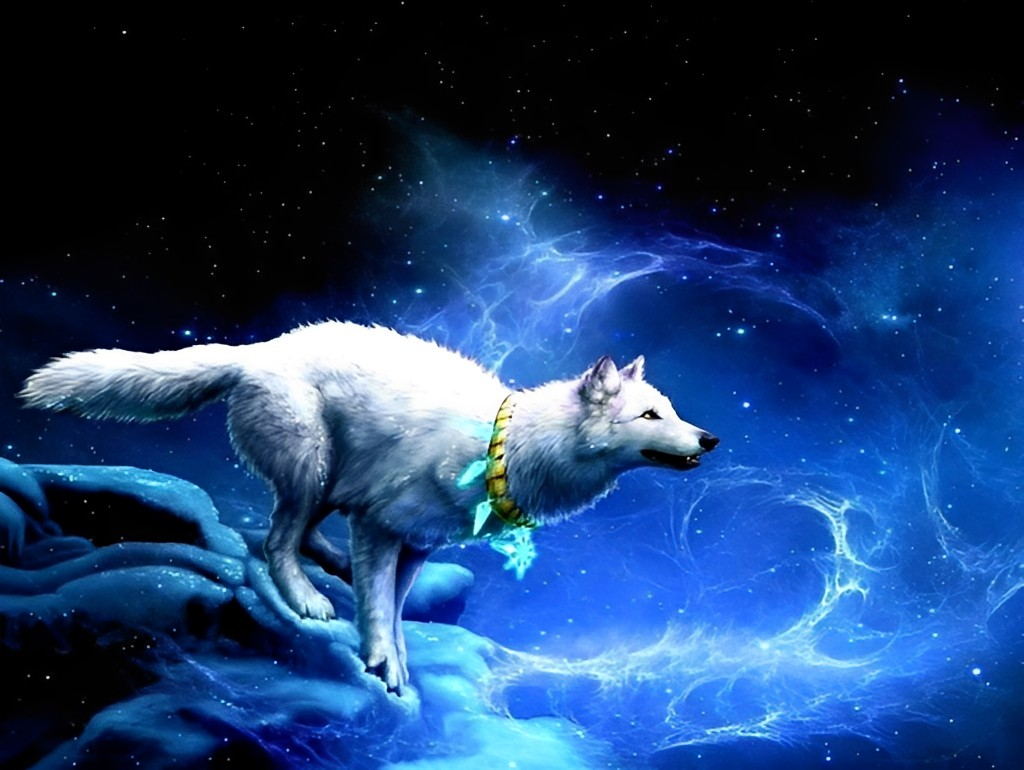Witte Wolf Rent in Blauw Licht Diamond Painting