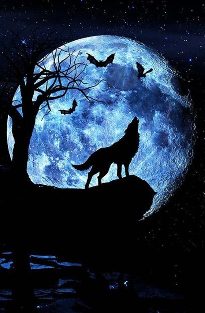 Wolf, Maan en Vleermuizen in de Nacht Diamond Painting