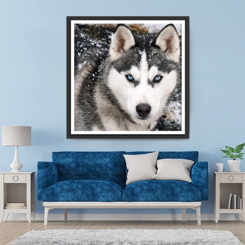 Wolf op een Besneeuwde Dag Diamond Painting