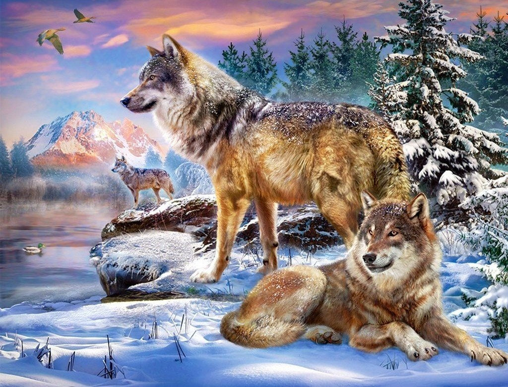 Wolven bij de Rivier op een Besneeuwde Dag Diamond Painting