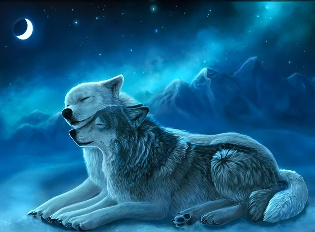 Wolven Knuffelen in het Maanlicht Diamond Painting