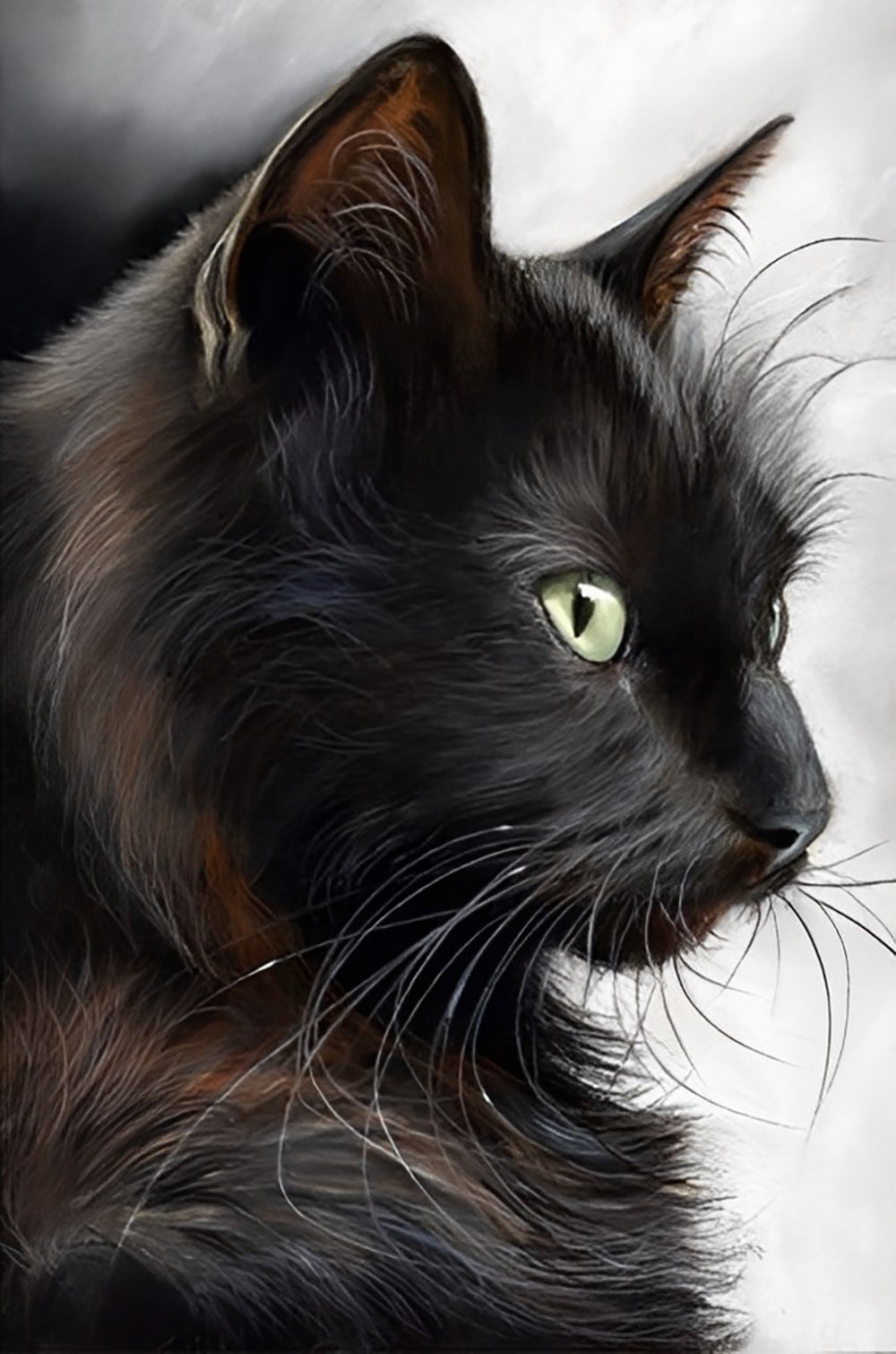 Zijde van een Zwarte Kat Diamond Painting