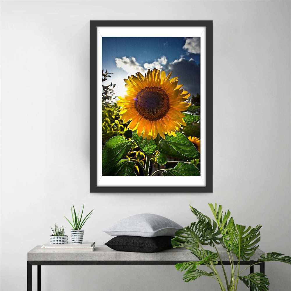 Zonnebloem in het Zonlicht Diamond Painting