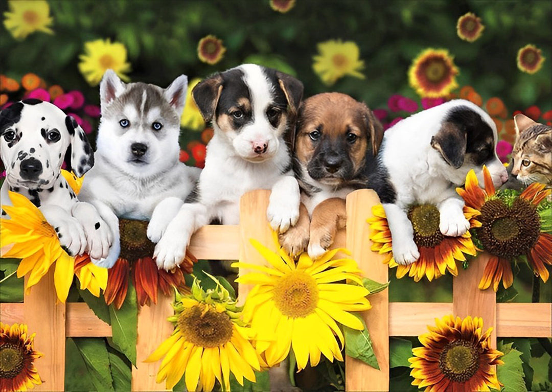 Zonnebloemen en Honden bij het Hek Diamond Painting