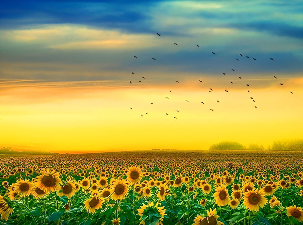 Zonnebloemenveld en Vogels onder een Blauw-Gele Hemel Diamond Painting