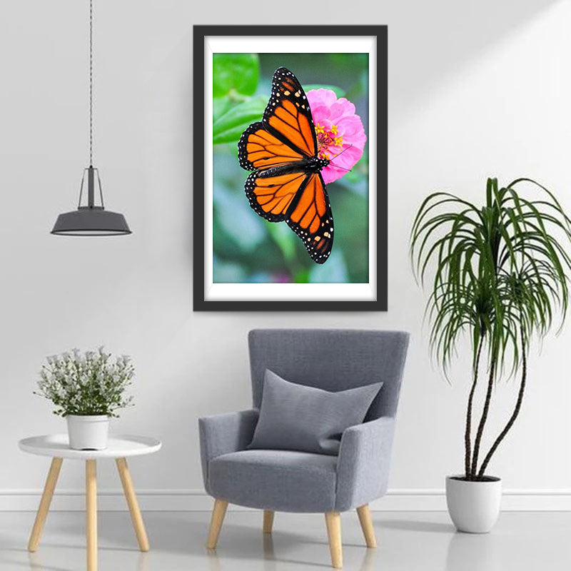 Zwart met Oranje Vlinder op een Roze Bloem Diamond Painting