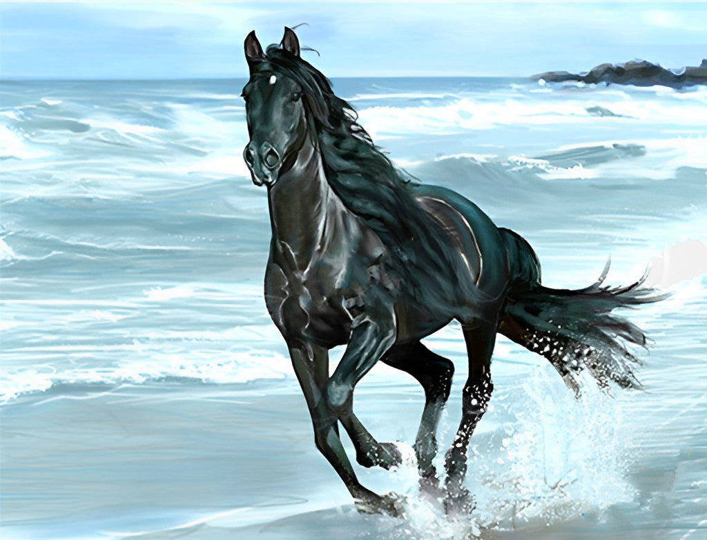 Zwart Paard aan Zee Diamond Painting