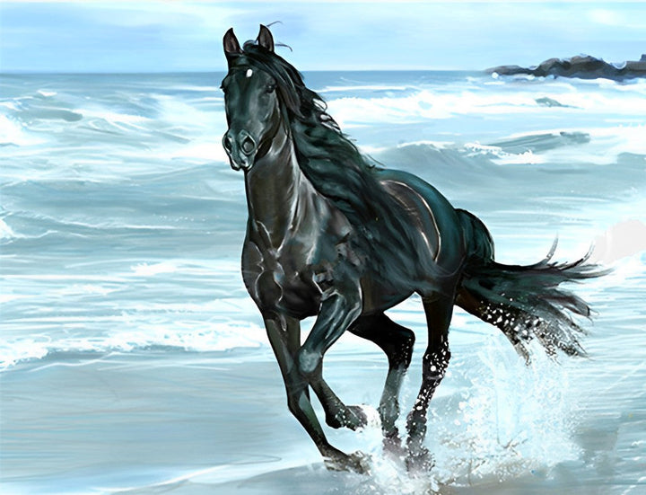 Zwart Paard aan Zee Diamond Painting
