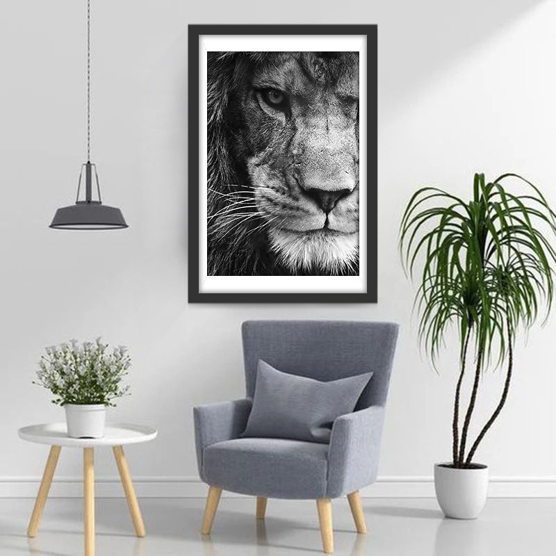 Zwart-wit Foto van een Leeuw Diamond Painting