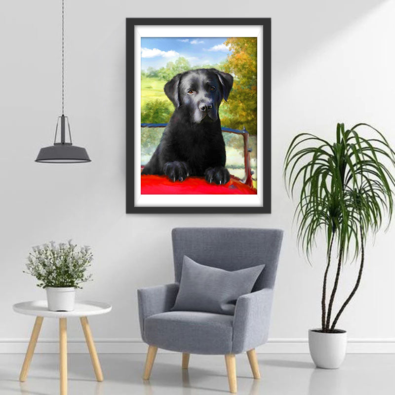 Zwarte Hond in Rode Sportwagen Diamond Painting