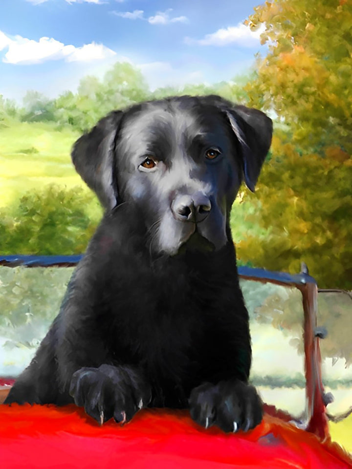 Zwarte Hond in Rode Sportwagen Diamond Painting