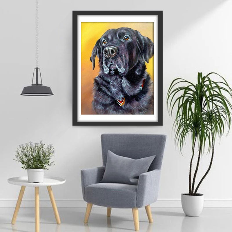 Zwarte Hond met een Harthalsband Diamond Painting