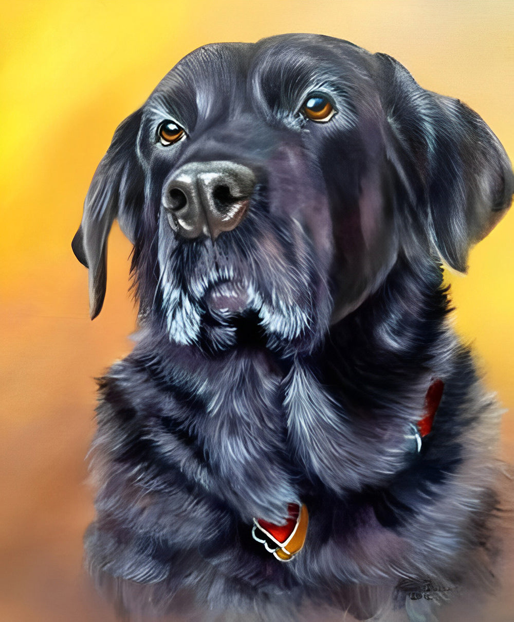 Zwarte Hond met een Harthalsband Diamond Painting