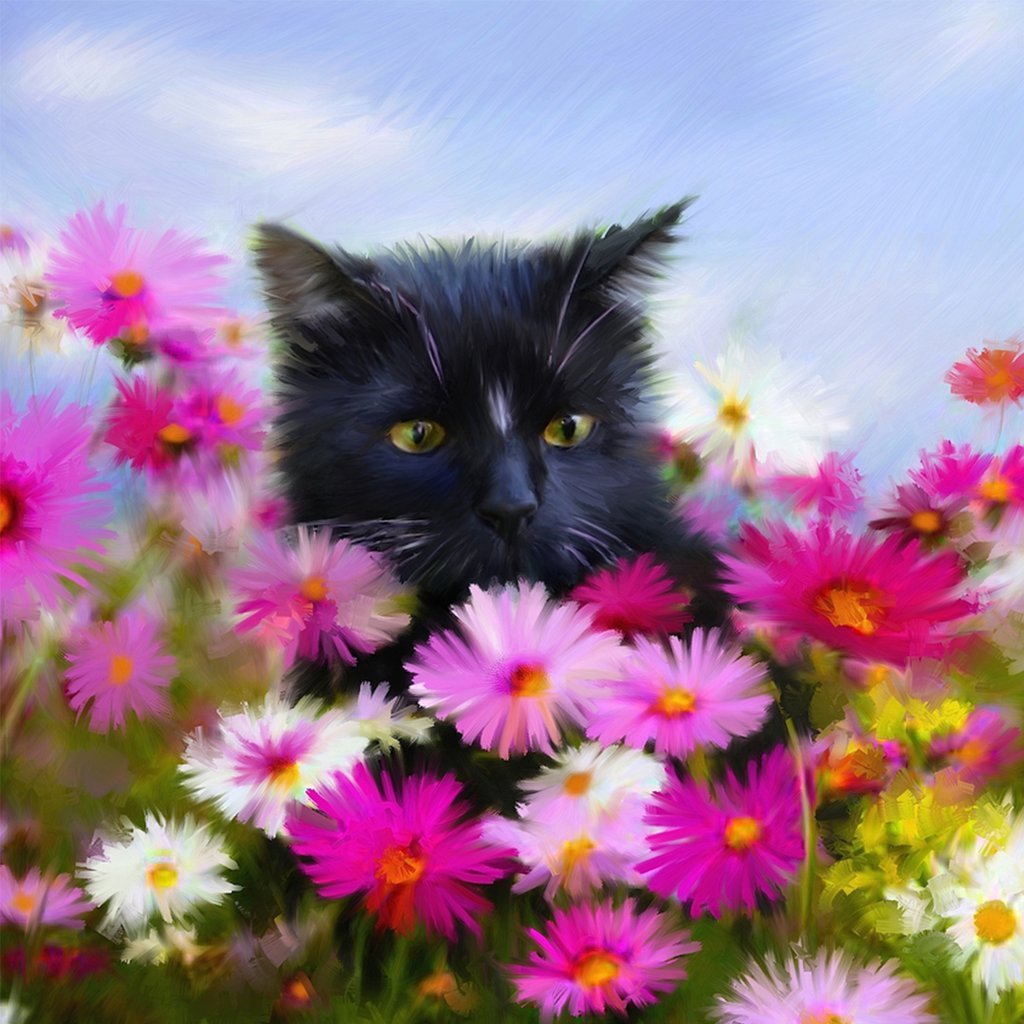 Zwarte Kat in een Madeliefjesstruik Diamond Painting