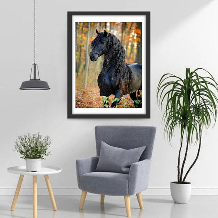 Zwarte Paarden met Lang Haar Diamond Painting